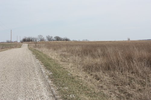 Property photo 13 - 194.67 Acres Offered in 2 Tracts